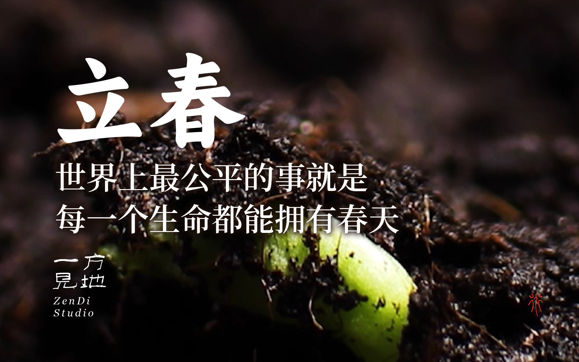 深圳品牌设计｜教科书级节气文案，圈粉700W